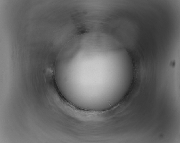 X0000113360040200909221210