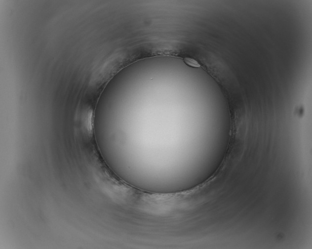 X0000113360041200909221210