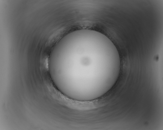 X0000113360042200909221210