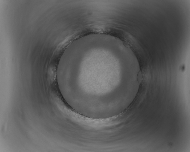 X0000113360043200909221210