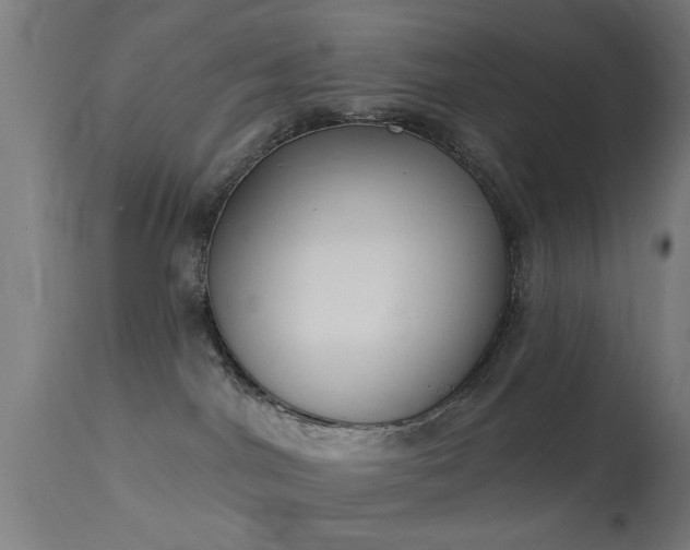 X0000113360044200909221210
