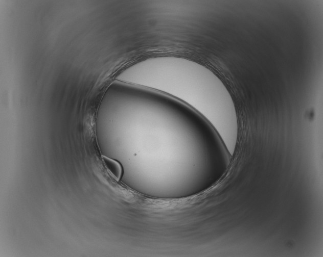 X0000113360045200909221210