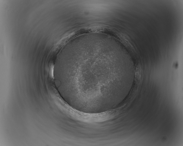 X0000113360046200909221209