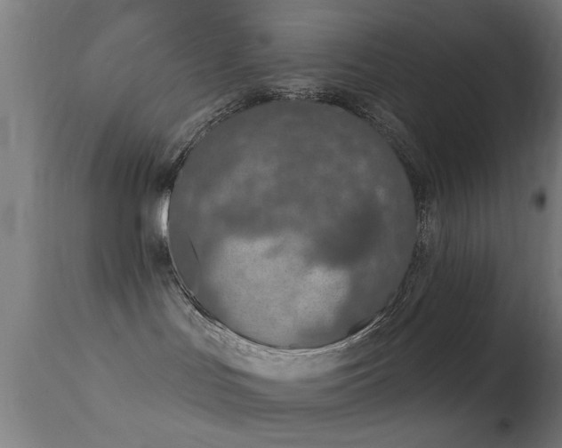 X0000113360047200909221209