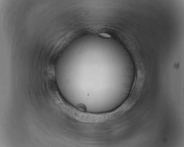 X0000113360048200909221209