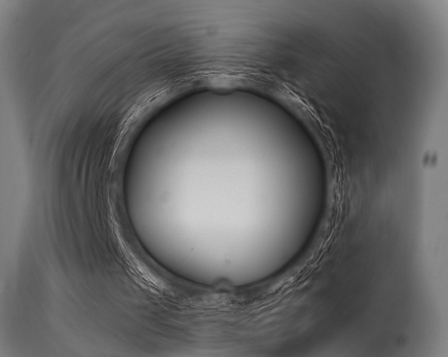 X0000113360049200909221209