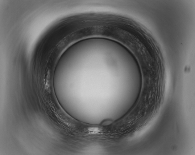 X0000113360050200909221209