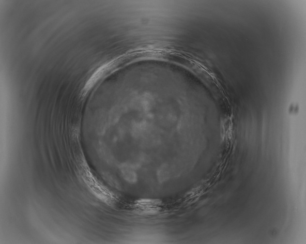 X0000113360051200909221209