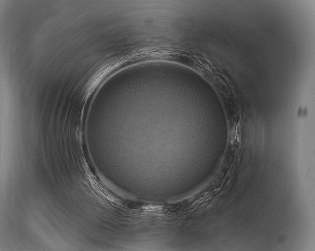 X0000113360052200909221209
