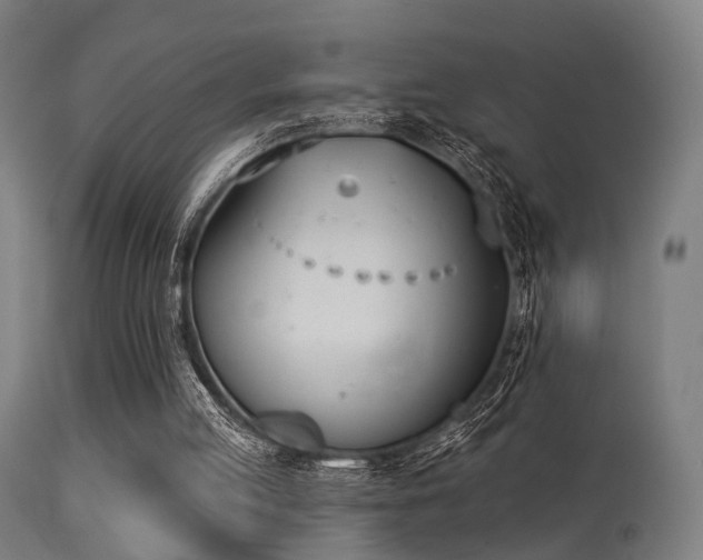 X0000113360053200909221209