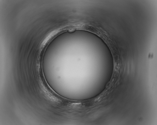 X0000113360054200909221209