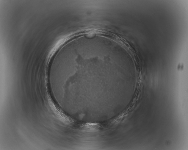 X0000113360055200909221209
