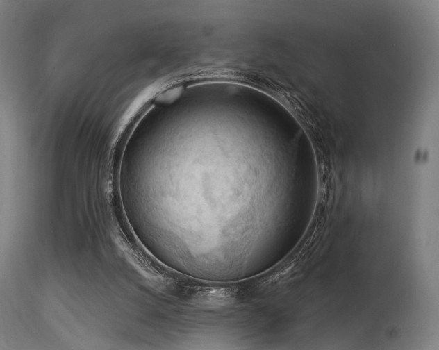X0000113360056200909221209