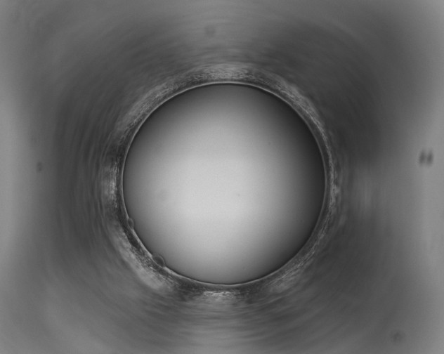 X0000113360057200909221209
