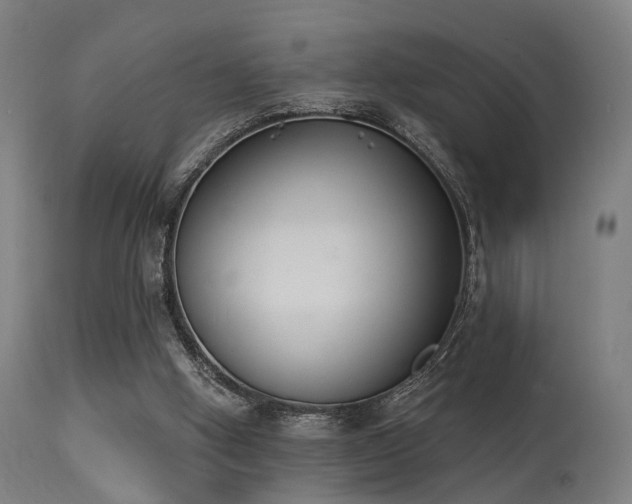 X0000113360058200909221209