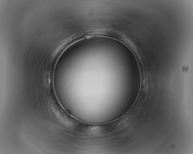 X0000113360059200909221209