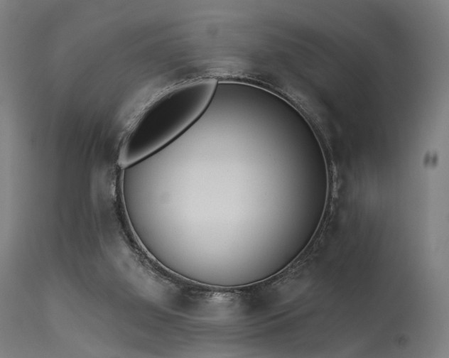 X0000113360060200909221209