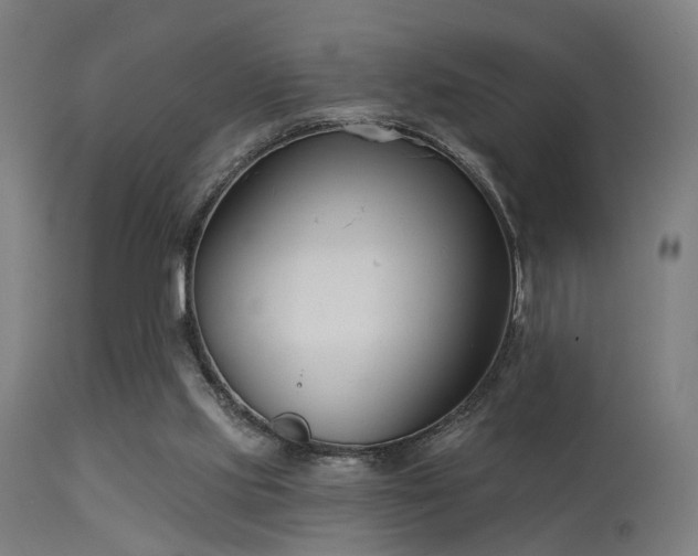 X0000113360061200909221209