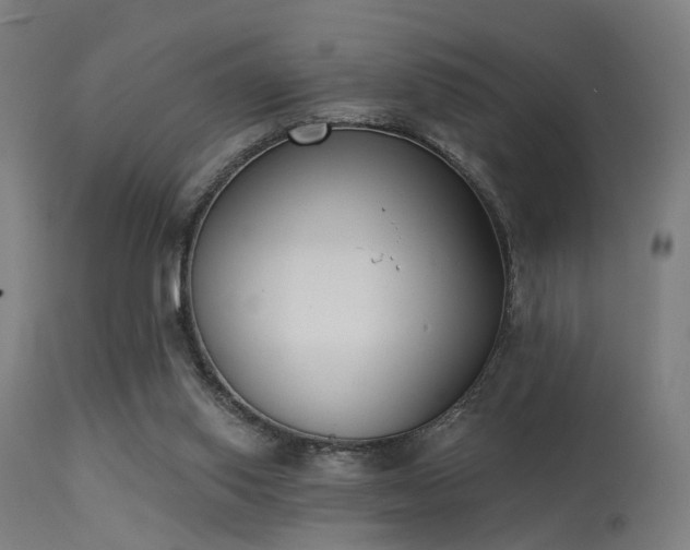 X0000113360062200909221209