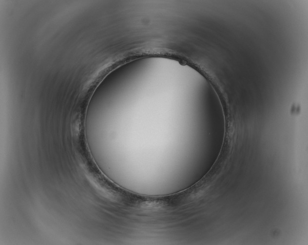 X0000113360063200909221209