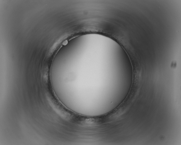 X0000113360064200909221209