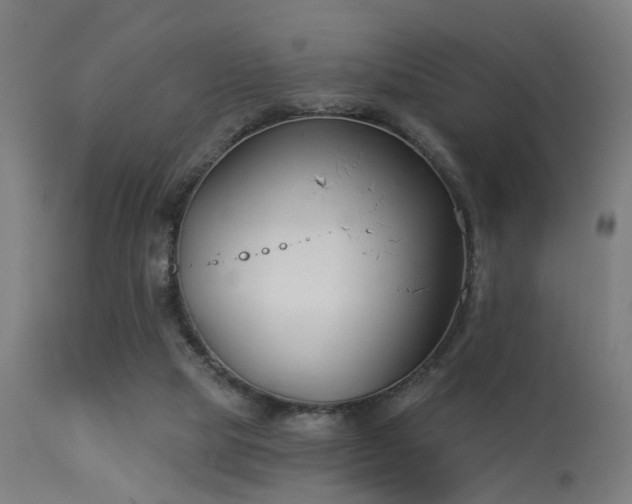 X0000113360065200909221209