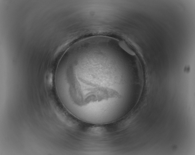 X0000113360067200909221209