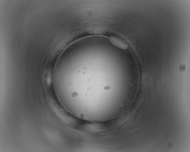 X0000113360069200909221209