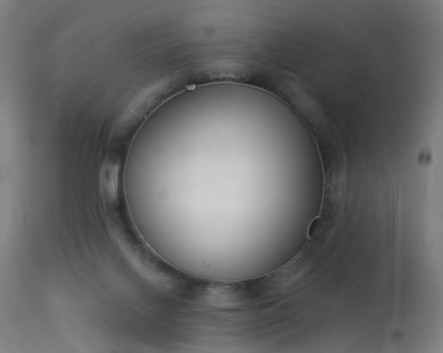 X0000113360070200909221209
