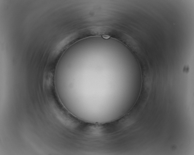 X0000113360071200909221209