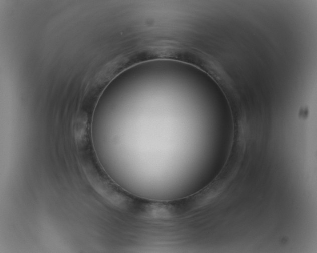 X0000113360073200909221209
