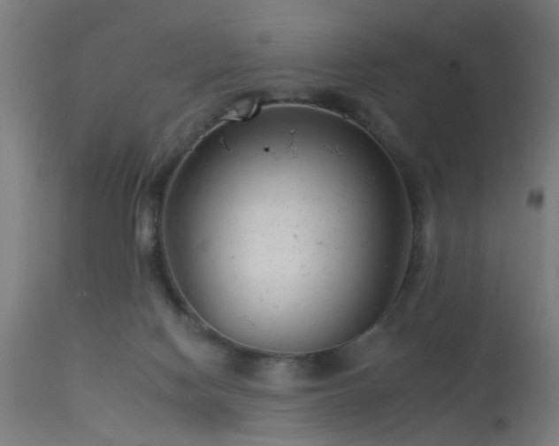 X0000113360074200909221209