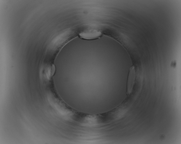 X0000113360076200909221209