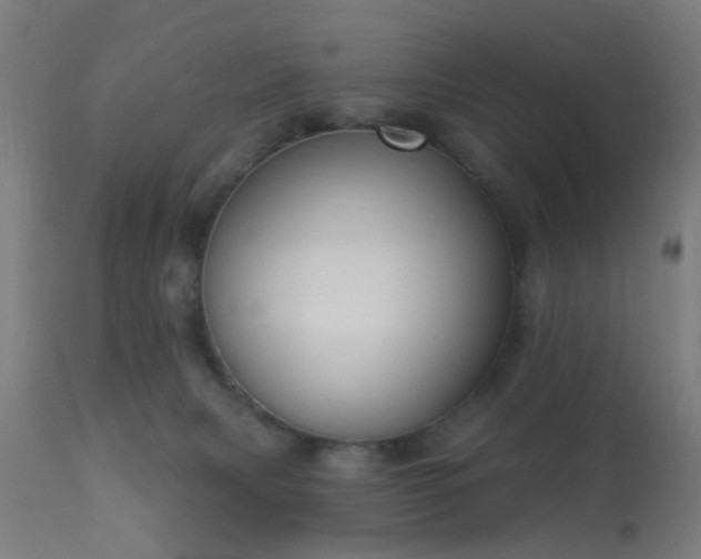 X0000113360079200909221209