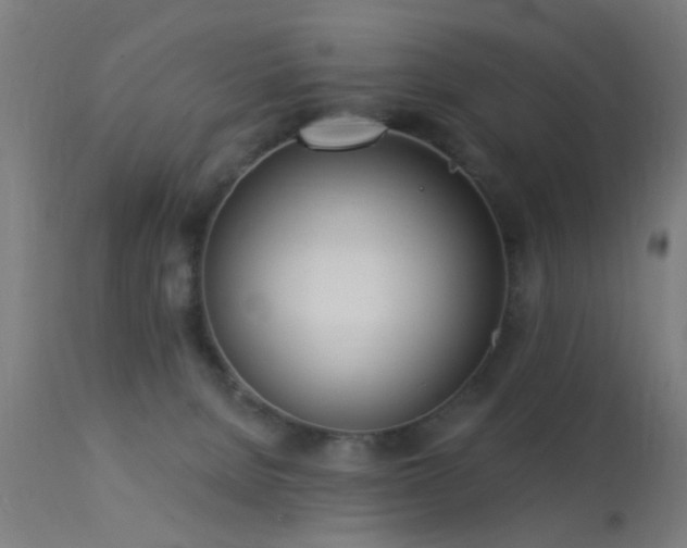 X0000113360080200909221209