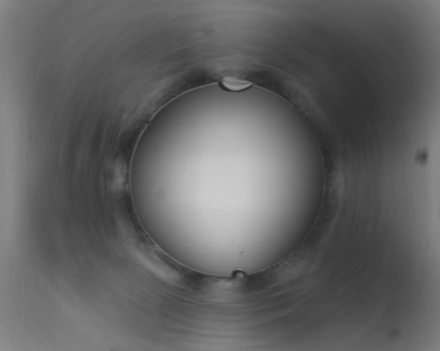 X0000113360081200909221209
