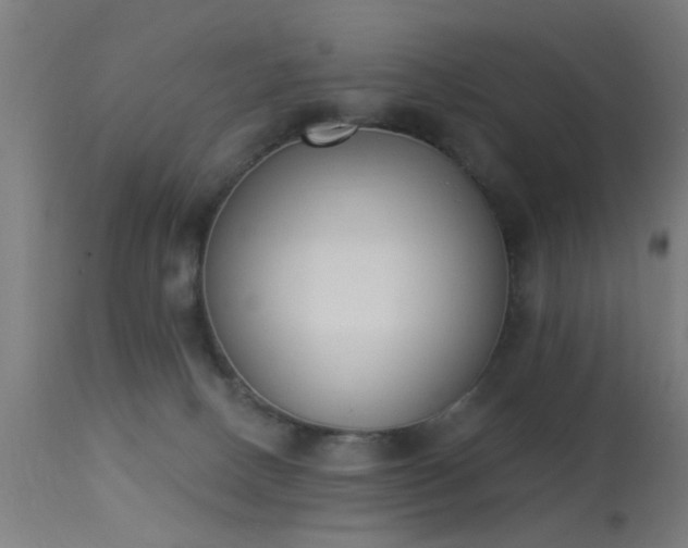 X0000113360082200909221209