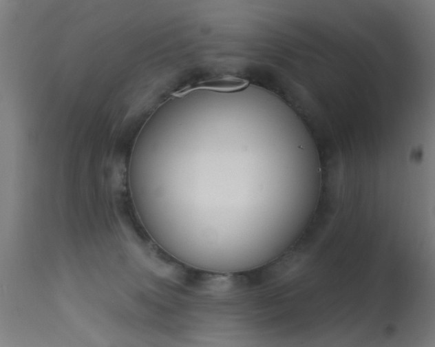 X0000113360083200909221209