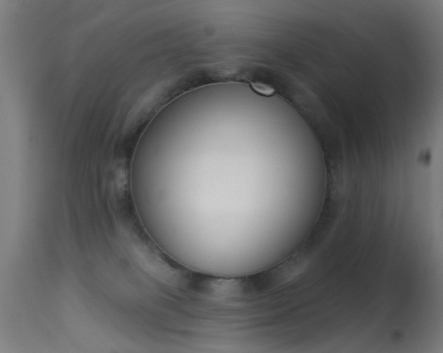 X0000113360085200909221209
