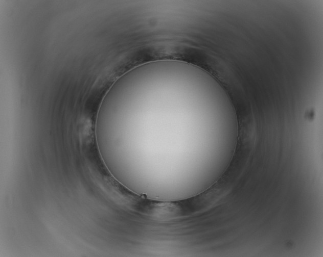 X0000113360087200909221209
