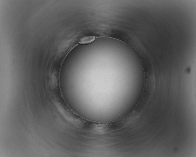 X0000113360088200909221209