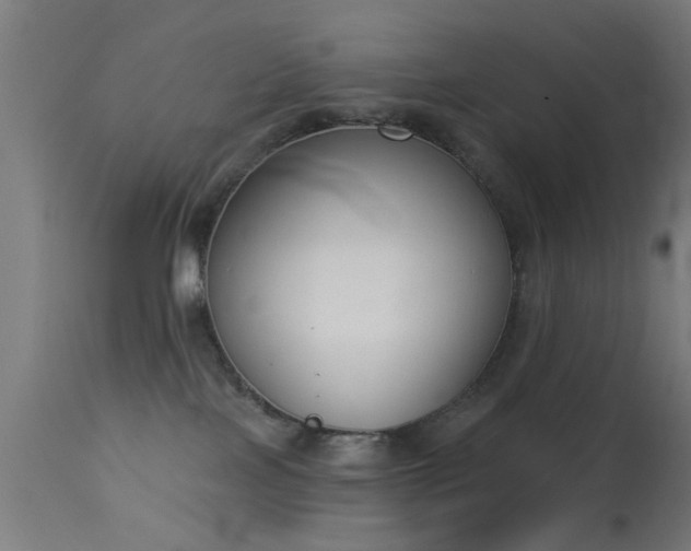 X0000113360089200909221209