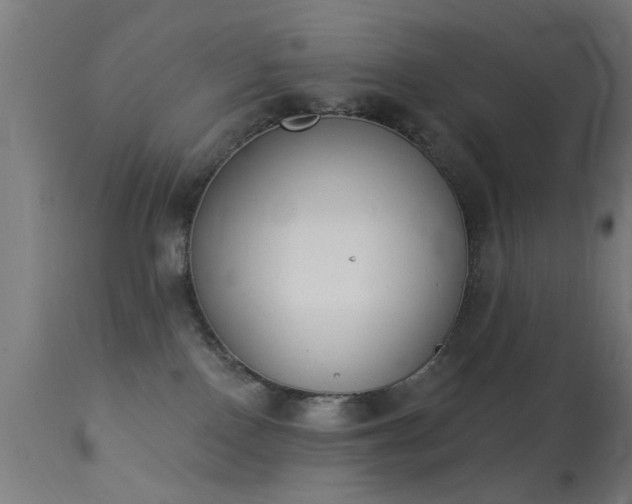 X0000113360090200909221209