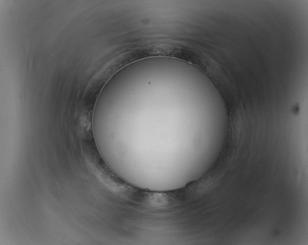 X0000113360091200909221209