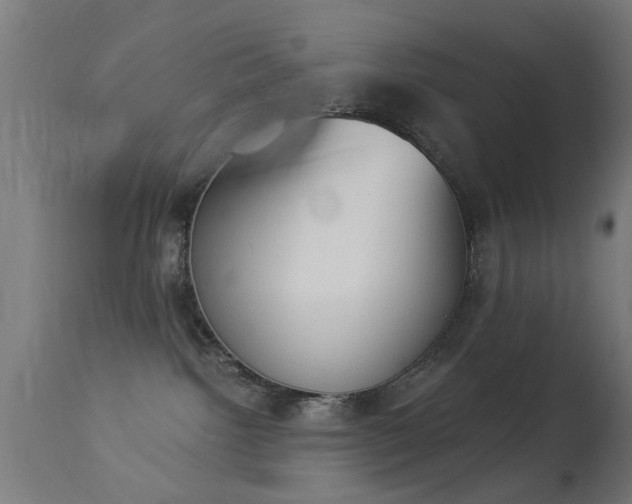 X0000113360092200909221209
