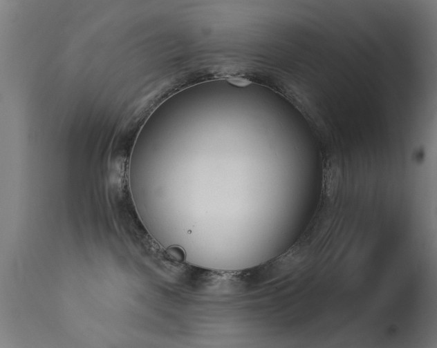X0000113360093200909221209