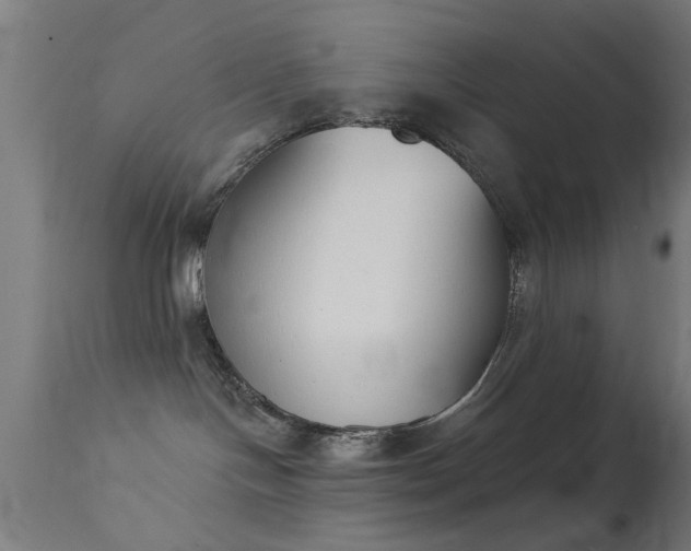 X0000113360094200909221209