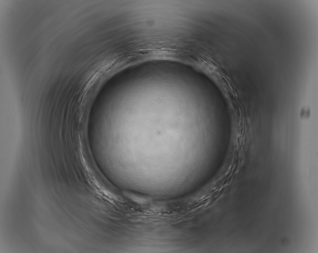 X0000113360097200909221209