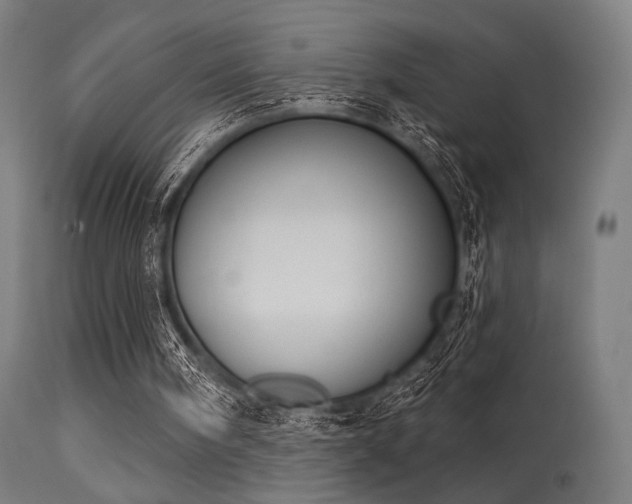 X0000113360098200909221209
