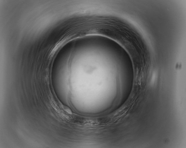 X0000113360099200909221209